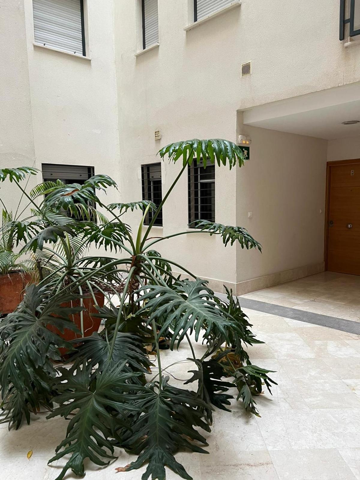 Habitaciones Privadas En Apartamento Compartido アルヘシラス エクステリア 写真